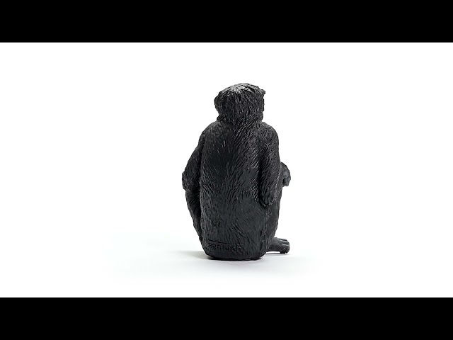 Vídeo relacionado con Schleich 14875 Bonobo Hembra, a Partir de 3 años, Wild Life - Figura, 4 x 4 x 6 cm