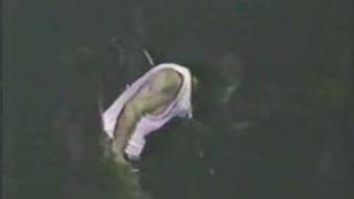 How Much Love Is Enough (102089) - ARS