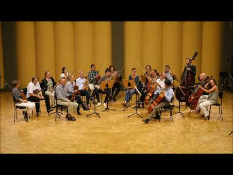 Robert Fuchs Serenade Nr. 2, 3. Satz, Allegro risoluto