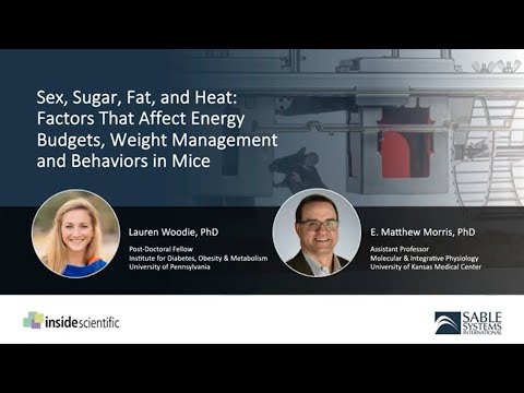 Sex, Sugar, Fat, and Heat: Factors That Affect Energy Budgets & Behaviors in Mice