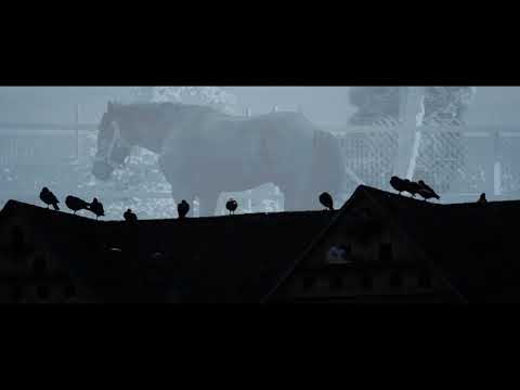 Kincsem wedding teaser