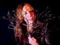 Jarboe - Not Noah's Ark 