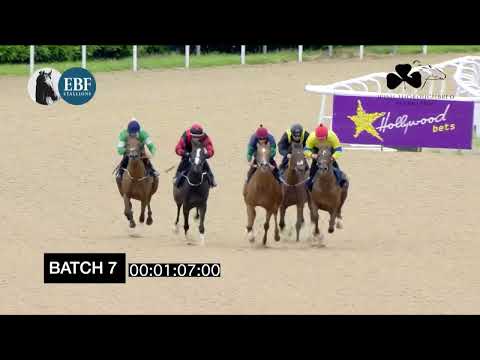 Irish EBF Barrier Trials 5 July 2022 - Batch 07