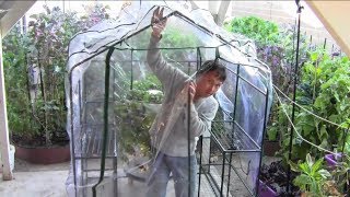 How to Build a $17.50 Greenhouse Without Any Tools