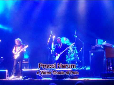 A Whiter Shade Of Pale by Just in Time - Die Band