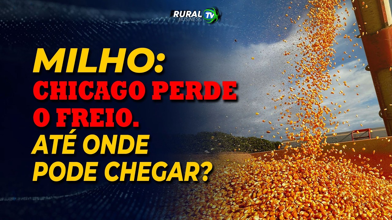 MILHO: CHICAGO PERDE O FREIO. ATÉ ONDE PODE CHEGAR?