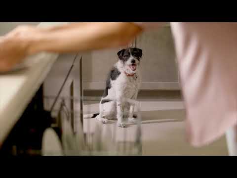 Knoodle Advertising Agency video.