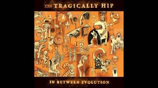 The Tragically Hip - Mean Streak (With Lyrics)