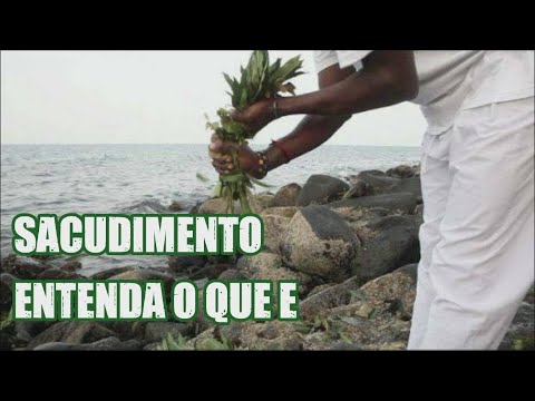 UNDERSTAND WHAT A SHAKE IS