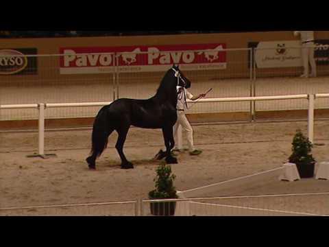 Tweede Bezichtiging 2017 – Groep 02