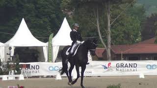 La France représentée par un fils de Totilas aux Championnats du Monde des 7 ans