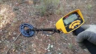 Detector de metales GARRETT ACE 300i