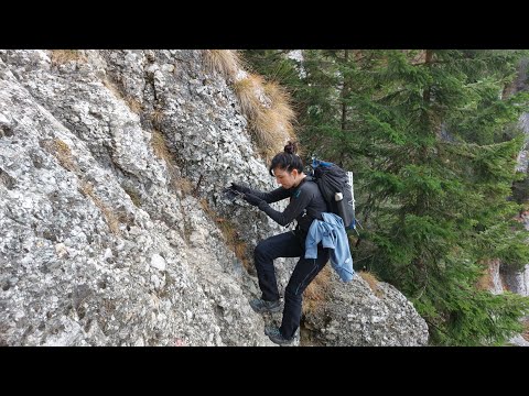 ȘIMON - poiana GAURA - vf. SCARA - șaua HORNURILOR - vf. OMU - poiana COȘTILEI - cab. GURA DIHAM