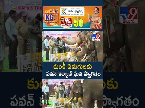 AP Deputy CM Pawan Kalyan : కుంకీ ఏనుగులకు పవన్‌ కల్యాణ్‌ ఘన స్వాగతం - TV9