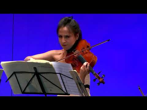 Romantic Round: Ruisi Quartet