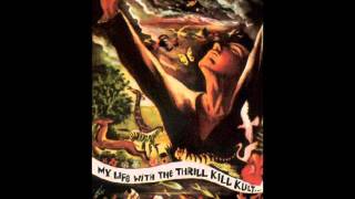 My Life With the Thrill Kill Kult - these remains