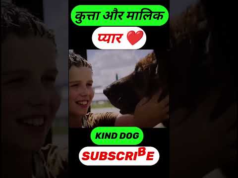 #shorts #ytshorts #shortvideo #dog #cutedog