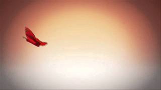 Wyld Stylaz - I could see clearly