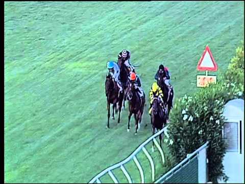 Galoppo 15/07/2015 - 3° corsa