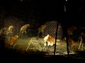 Tigers At The Circus