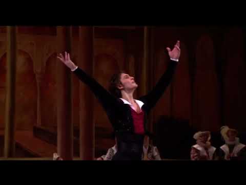 DON QUIXOTE - Basilio Variation (Ivan Vasiliev - Bolshoi Ballet)