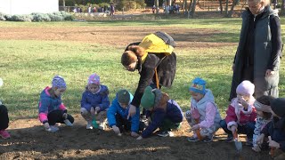 Közösségi virágültetés