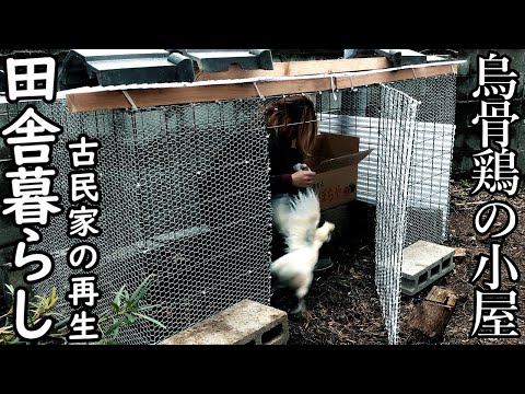 鶏小屋を内側から整理するにはどうすればよいですか？農家によると、6 つの必須機能と 3 つの絶対に避けるべき機能  庭園