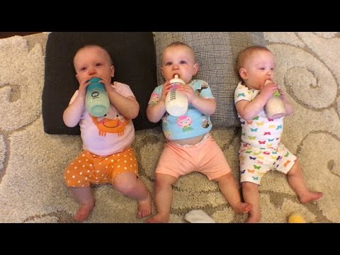 The Busy Busbys | OutDaughtered