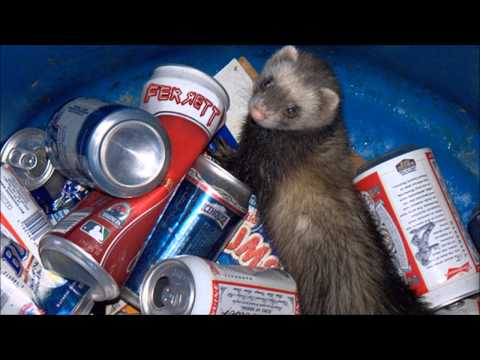 FerreTT - Drinking Beers