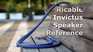 Ricable Invictus Speaker Reference Cables - Drastically Improving Sonics