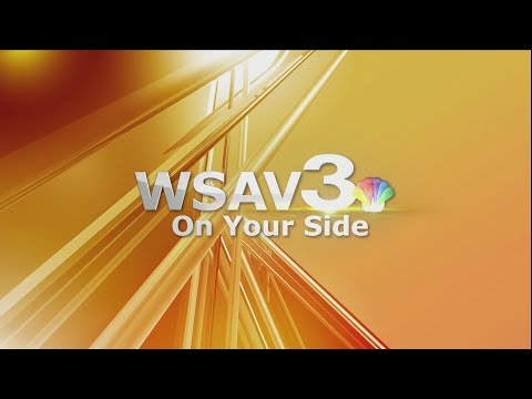 Pets of the week: Meet Mercury, Jupiter, & Uranus - YouTube