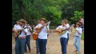 preview picture of video 'Folia de Reis - Orquestra de Violeiros Terra da Uva (OVTU)'