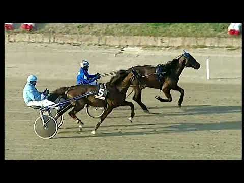 Napoli Trotto 20/02/2022 - 2ª prova di qualifica