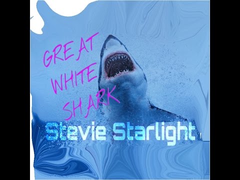 Great White Shark ~   Stevie Starlight
