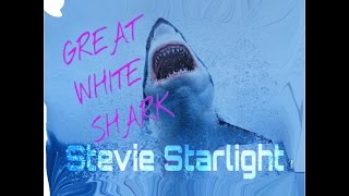 Great White Shark ~   Stevie Starlight