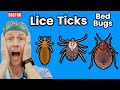 Bed Bugs And Beyond!  Top 7 Bug Bites You Should Be Worried About