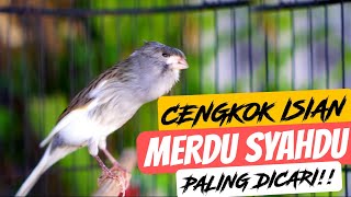 Download lagu KENARI GACOR ISIAN BLACKTHROAT CENGKOK MEWAH MERDU EFECTIF BUAT MASTERAN KENARI BAHAN LOMBA mp3