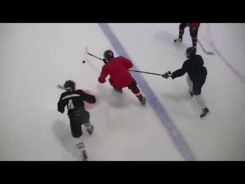 Adult Instructional Final Game Spring 2019