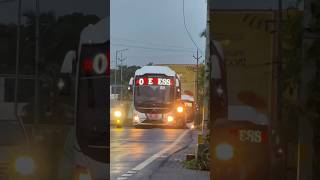 Download lagu Oneness new volvo boys entry📈🔥 #trending #travel #ajtouristbuslover mp3