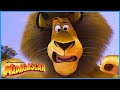 The Best Of Alex DreamWorks Madagascar