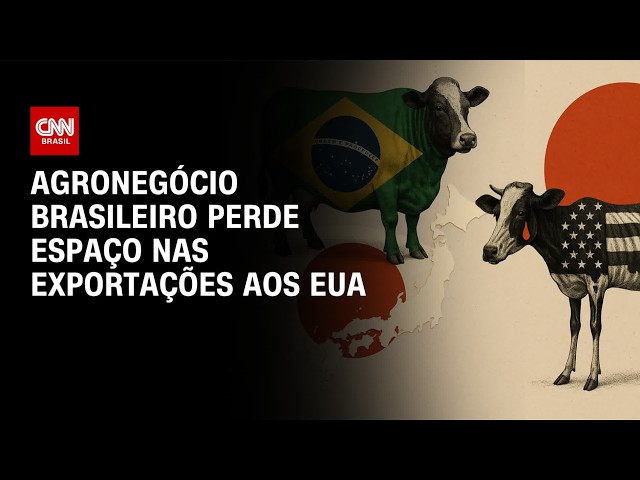 Agronegócio brasileiro perde espaço nas exportações aos EUA com tarifas | CNN AGRO NEWS