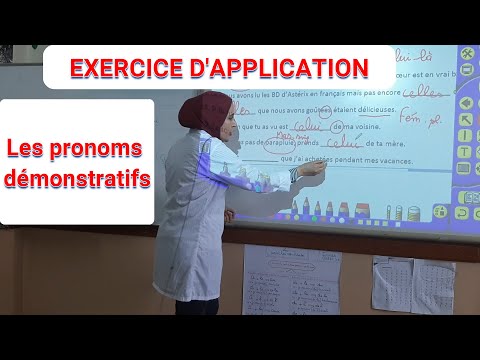 Exercice d'application / les pronoms démonstratifs