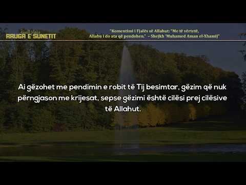 Komentimi i Fjalës së Allahut “Me të vërtetë, Allahu i do ata që pendohen” – Shejkh Aman el Xhamij
