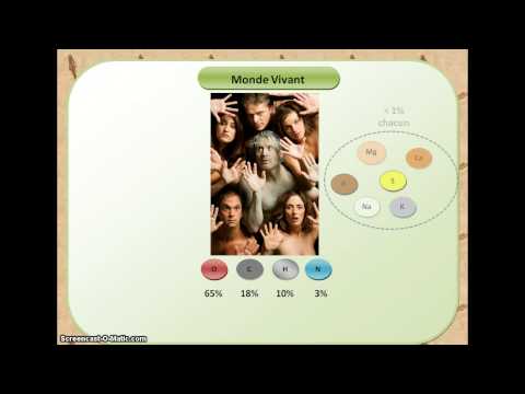 Les molécules de la vie.