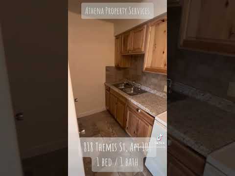 818 Themis - Video 2 of 2