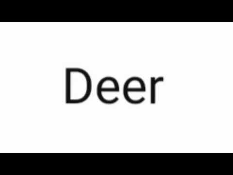 How to pronounce Deer?