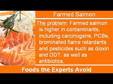 Farmed Salmon