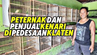 Download lagu CANARY BREEDERS and SELLERS‼️In rural KLATEN.... mp3