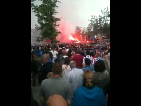 Huldiging Willem II