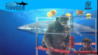 DIA 2 Expo Tiburon129